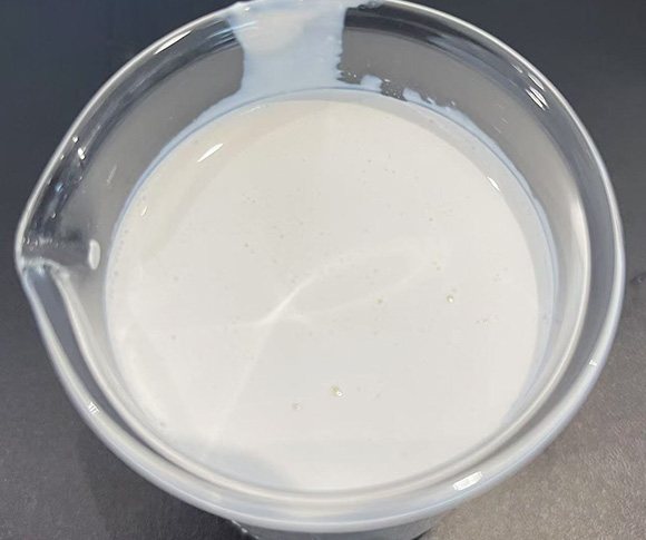 Fischer-Tropsch Wax Emulsion