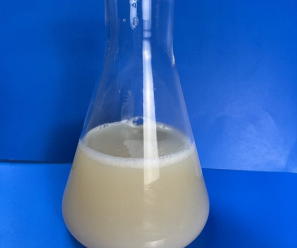 Polypropylene Wax Emulsion