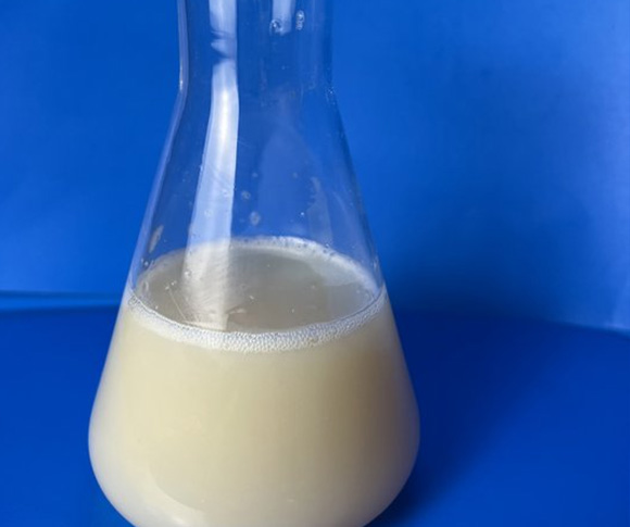 Polypropylene Wax Emulsion